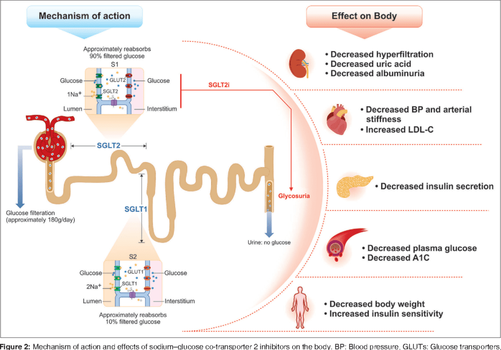 The Effect of Pressure and Disease on Glucose