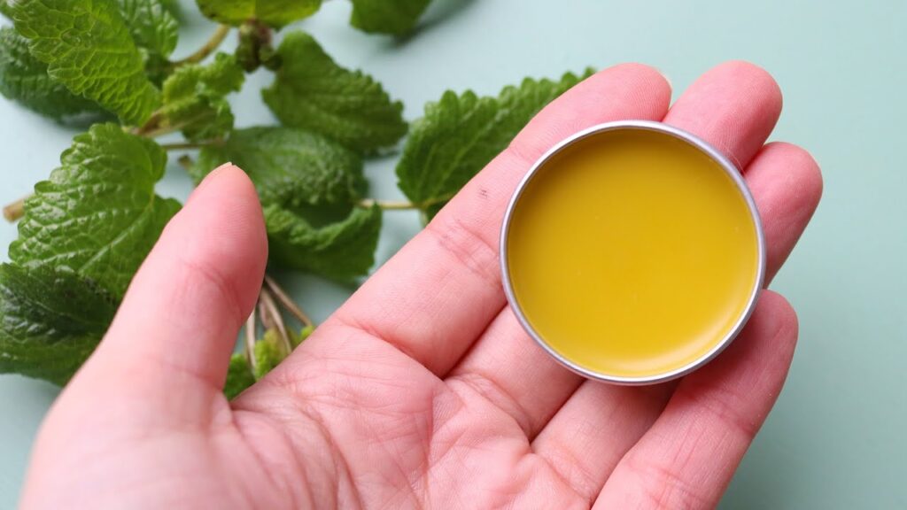 The Health Benefits and Practical Uses of Lemon Balm