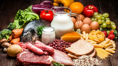 Understanding the Keto Diet