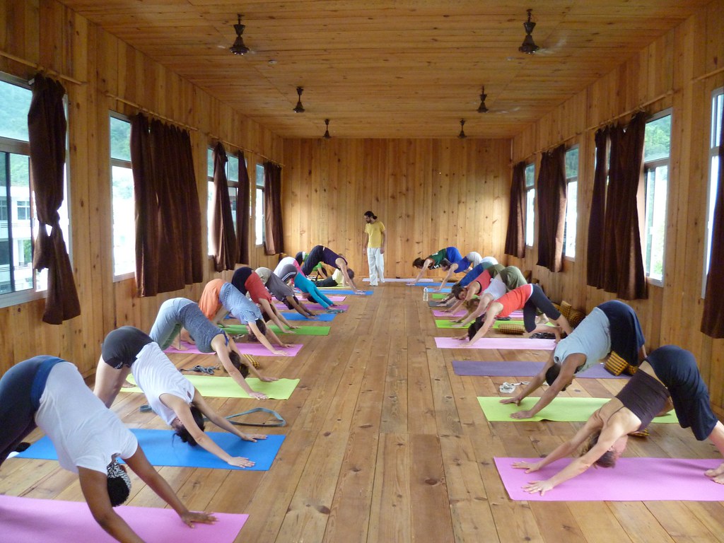 Yoga Retreat for Beginners - A Path to Wellness and Inner Peace